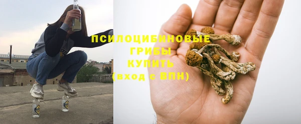 дмт Баксан